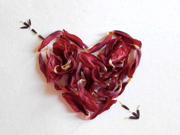 L'expression visuelle : un indice révélateur de l'amour d'une femme à votre égard ?